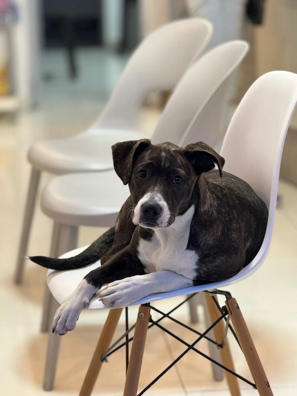 WhatsApp Image 2024-12-12 at 3.10.15 PM (2)